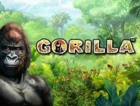 Gorilla screenplay Gorilla slot game