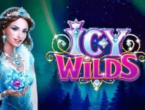 Icy Wilds slot game