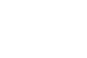 Iron Dog Studio provider