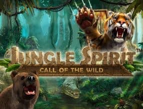 Jungle Spirit: Call of the Wild slot game