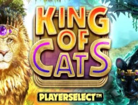 King of Cats slot game