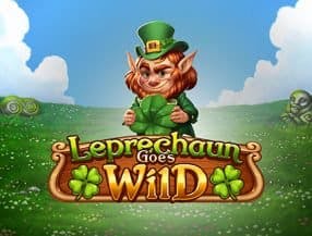 Leprechaun Goes Wild slot game