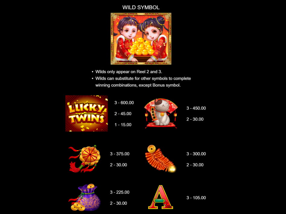 Lucky Twins Jackpot slot game