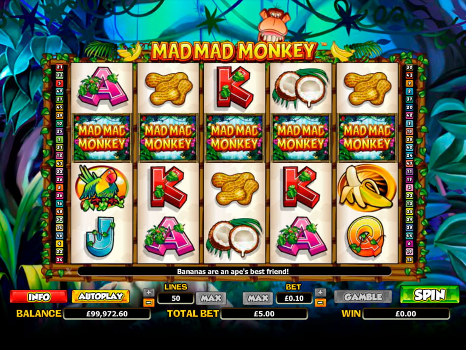 Mad Mad Monkey slot game