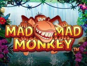 Mad Mad Monkey