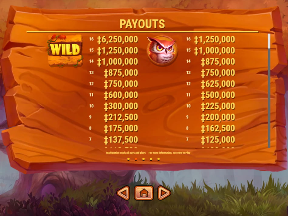 Magic Oak screenplay Magic Oak slot game