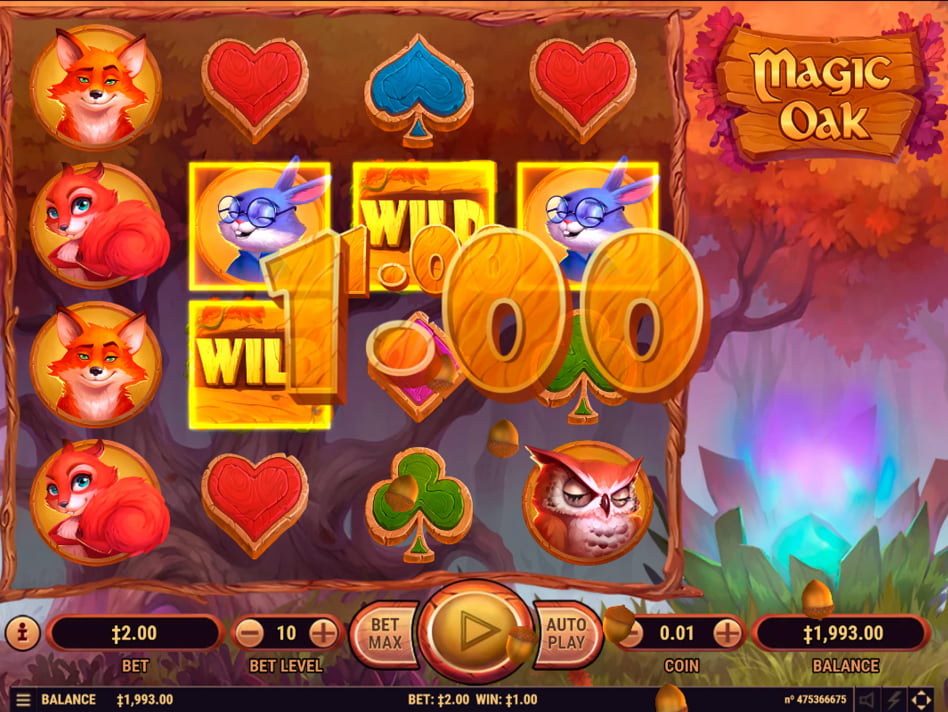 Magic Oak slot game