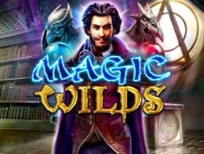 Magic Wilds slot game