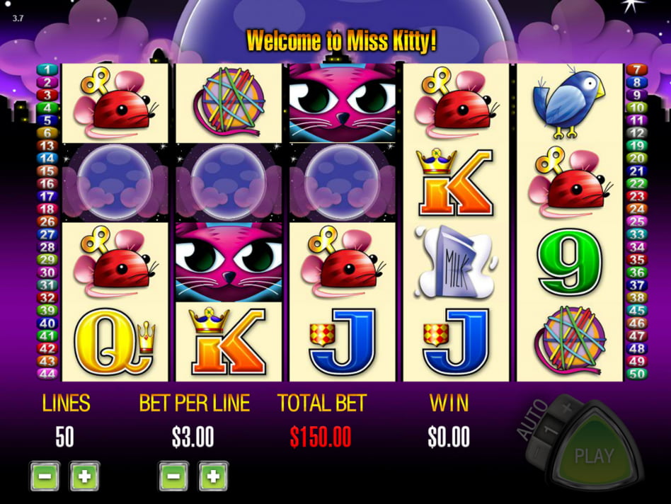 Miss Kitty screenplay Miss Kitty slot game