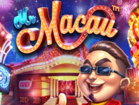 Mr Macau slot game