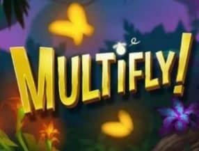 Multifly slot game