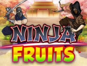 Ninja Fruits screenplay Ninja Fruits slot game