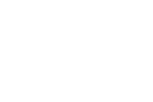 Octavian Gaming provider