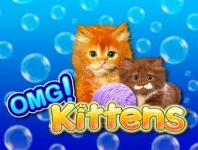 OMG! Kittens screenplay OMG! Kittens slot game