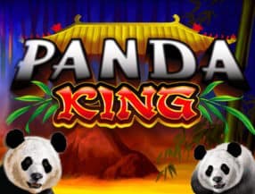Panda King slot game
