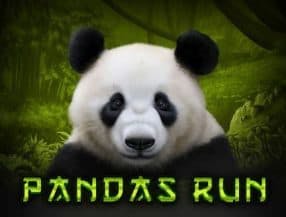 Pandas Run