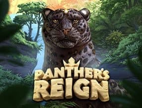 Panther’s Reign