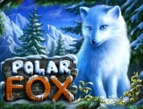 Polar Fox slot game