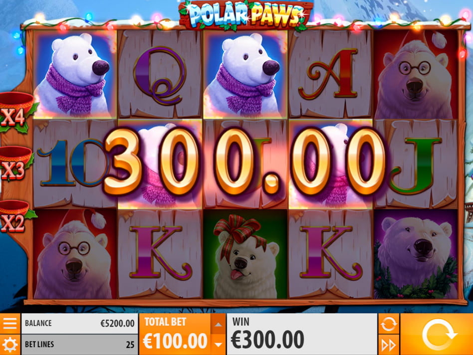 Polar Paws screenplay Polar Paws slot game