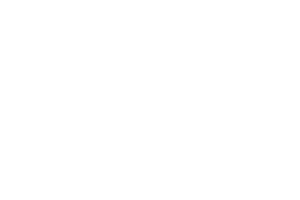 Pragmatic Play provider