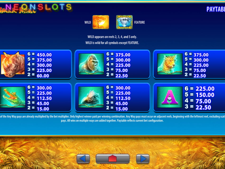 Raging Rhino screenplay Raging Rhino slot game