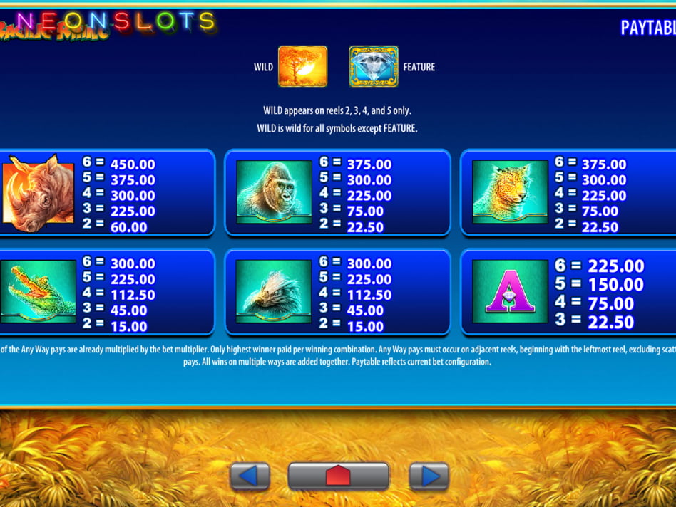 Raging Rhino slot game