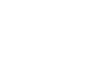 Rarestone Gaming provider