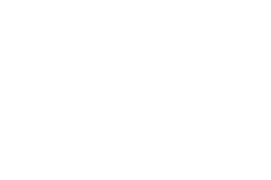 Red Tiger Red Tiger provider