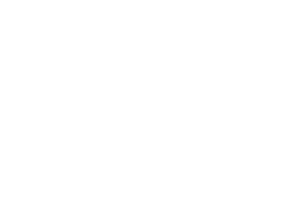 Reel Kingdom provider