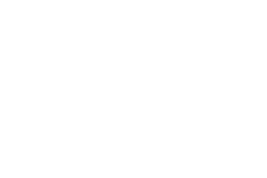 ReelPlay provider