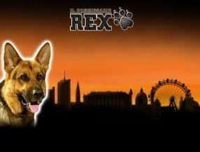 Rex screenplay Rex slot game