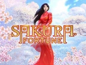 Sakura Fortune slot game