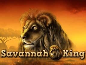 Savannah King screenplay Savannah King slot game