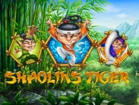 Shaolin Tiger slot game
