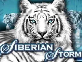 Siberian Storm screenplay Siberian Storm slot game