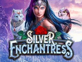 Silver Enchantress slot game