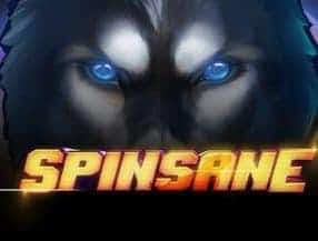 Spinsane screenplay Spinsane slot game