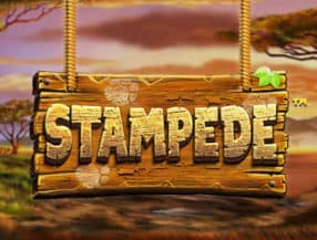 Stampede slot game