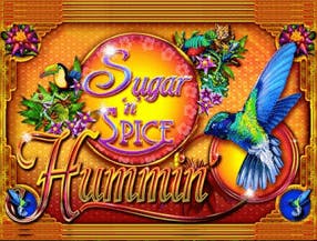 Sugar n Spice Hummin slot game