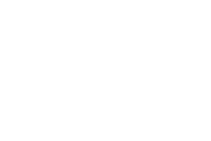 SYNOT provider