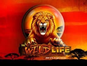 The Wild Life slot game