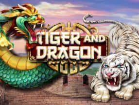 Tiger and Dragon