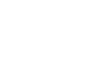 Triple Edge Studios provider