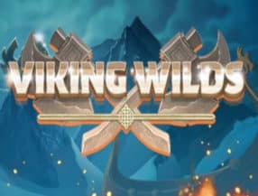 Viking Wilds slot game