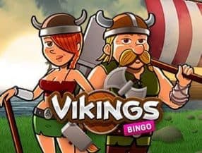 Vikings Videobingo slot game