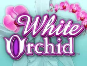 White Orchid slot game