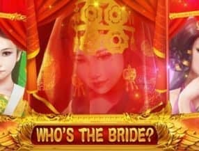 Who's the Bride screenplay Who's the Bride slot game