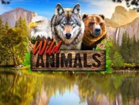 Wild Animals slot game