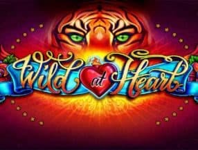 Wild at Heart slot game