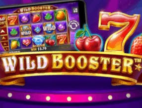 Wild Booster screenplay Wild Booster slot game